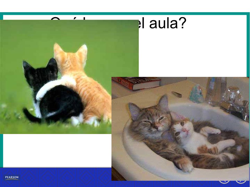 ¿Qué no hay en el aula ¿Qué hay en el aula