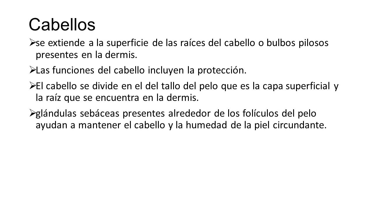 Cabellos se extiende a la superficie de las raíces del cabello o bulbos pilosos presentes en la dermis.