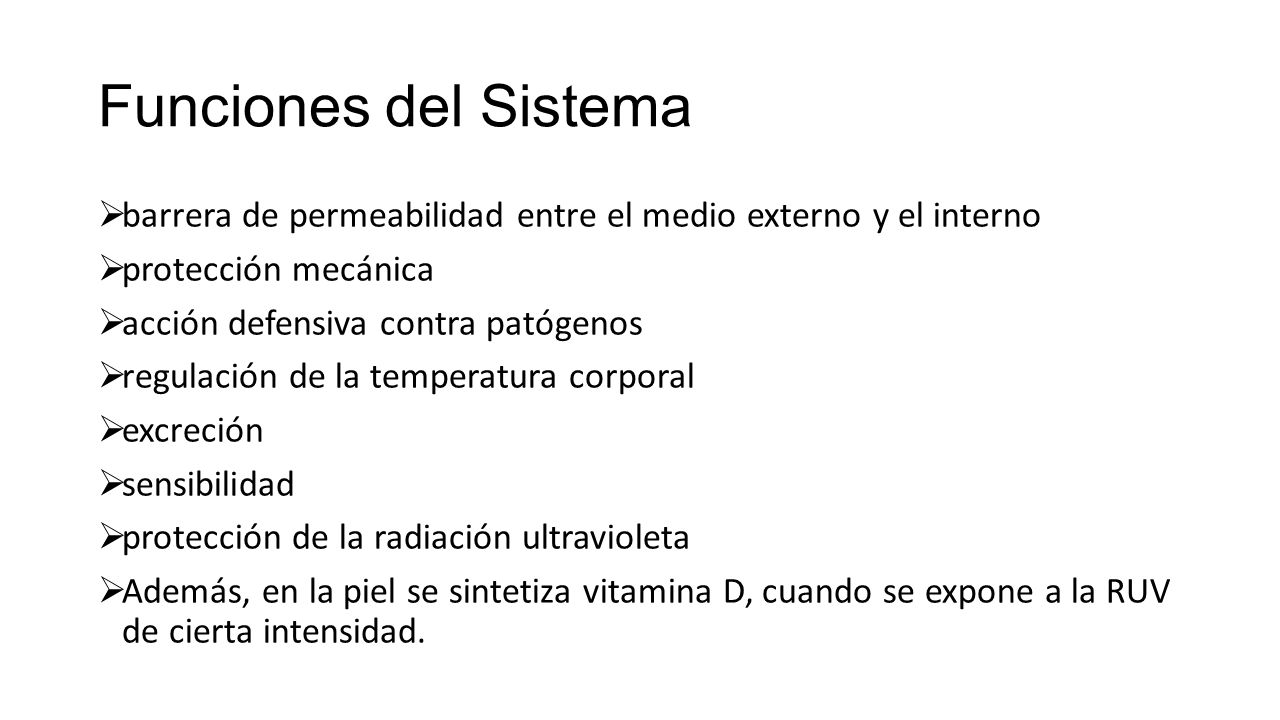 Funciones del Sistema barrera de permeabilidad entre el medio externo y el interno. protección mecánica.