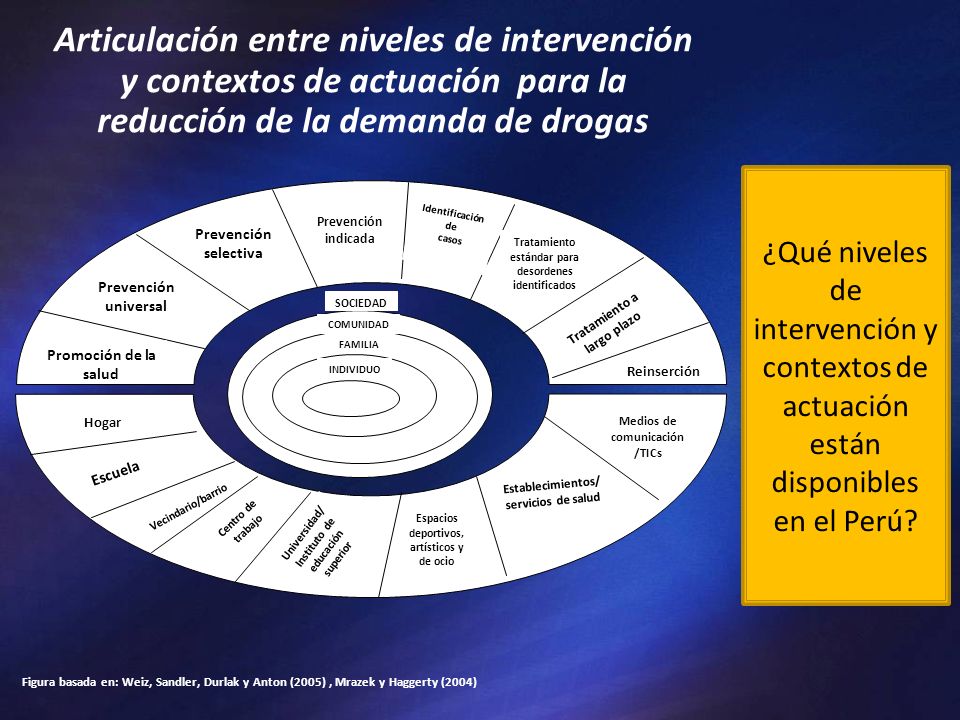 Articulación entre niveles de intervención y contextos de actuación para la reducción de la demanda de drogas