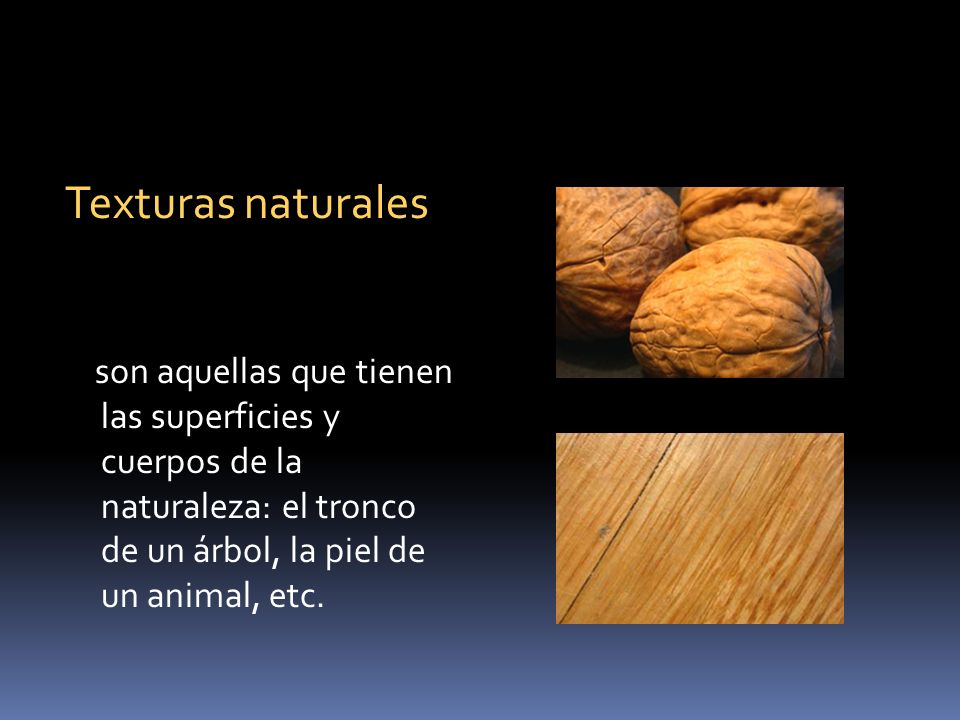 Texturas naturales son aquellas que tienen las superficies y cuerpos de la naturaleza: el tronco de un árbol, la piel de un animal, etc.