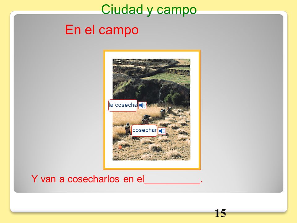 Ciudad y campo En el campo 15 Y van a cosecharlos en el__________.