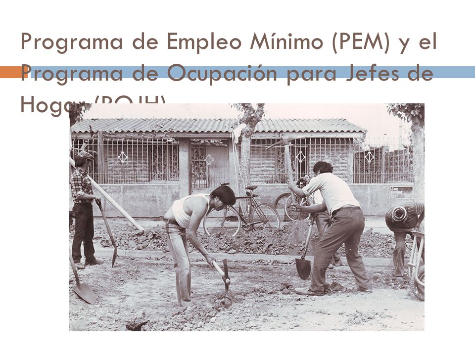 Programa de Empleo Mínimo (PEM) y el Programa de Ocupación para Jefes de Hogar (POJH)