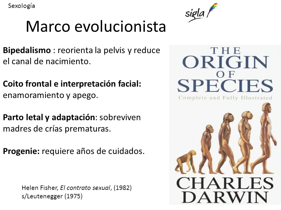 Sexología Marco evolucionista. Bipedalismo : reorienta la pelvis y reduce el canal de nacimiento.