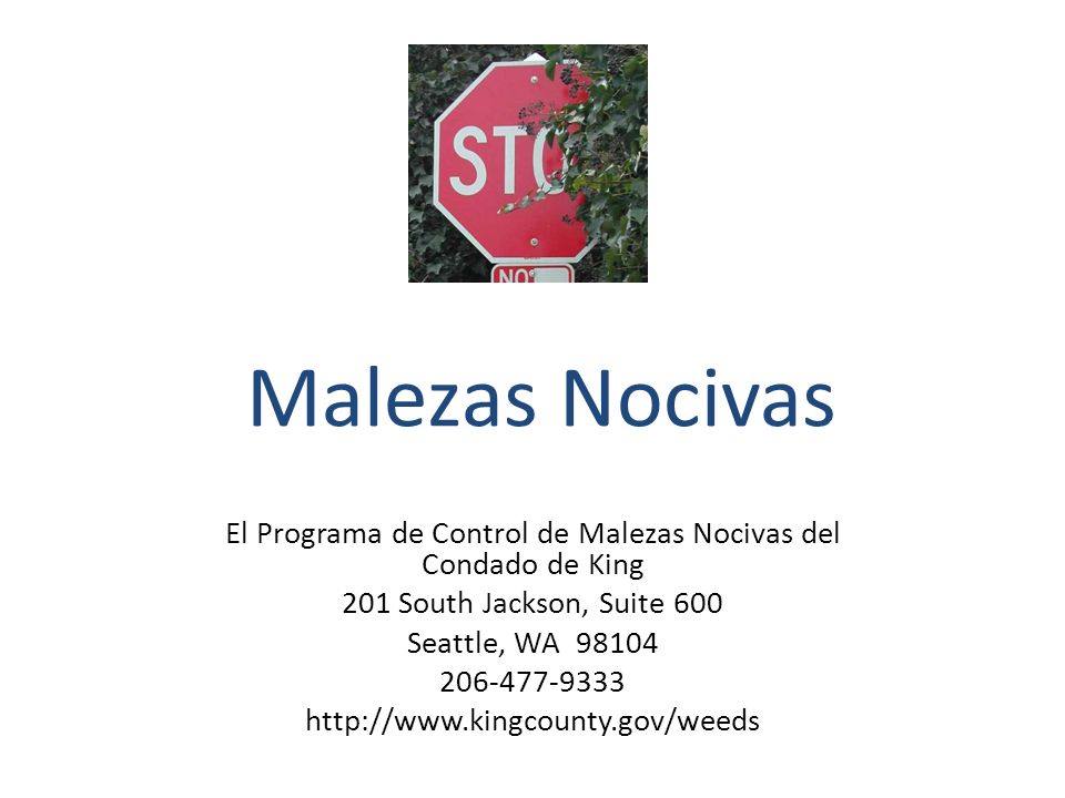 El Programa de Control de Malezas Nocivas del Condado de King