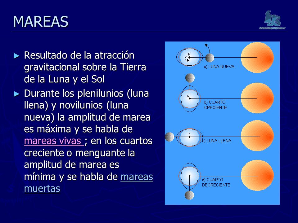 MAREAS Resultado de la atracción gravitacional sobre la Tierra de la Luna y el Sol.