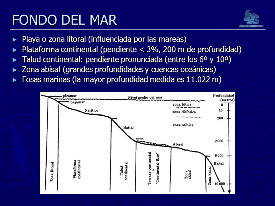 FONDO DEL MAR Playa o zona litoral (influenciada por las mareas)