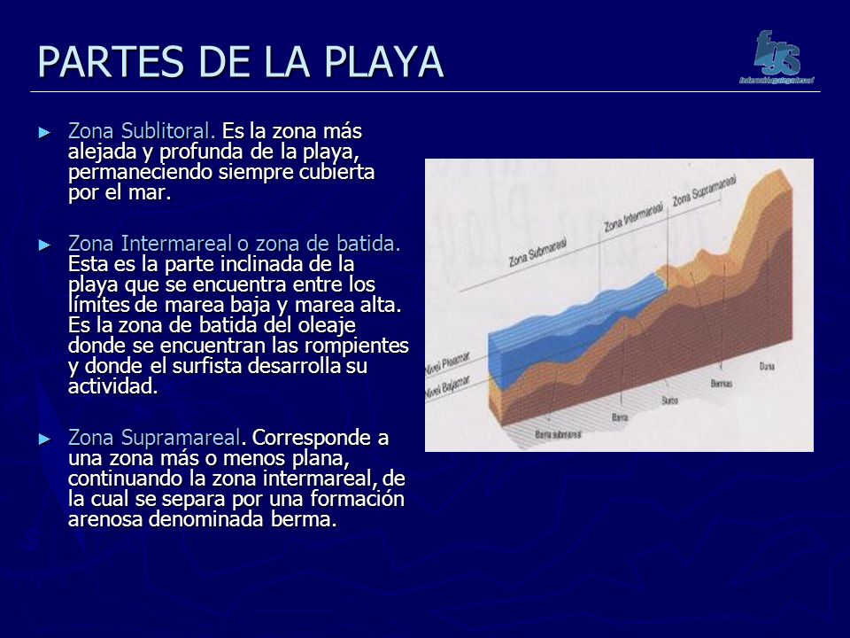 PARTES DE LA PLAYA Zona Sublitoral. Es la zona más alejada y profunda de la playa, permaneciendo siempre cubierta por el mar.