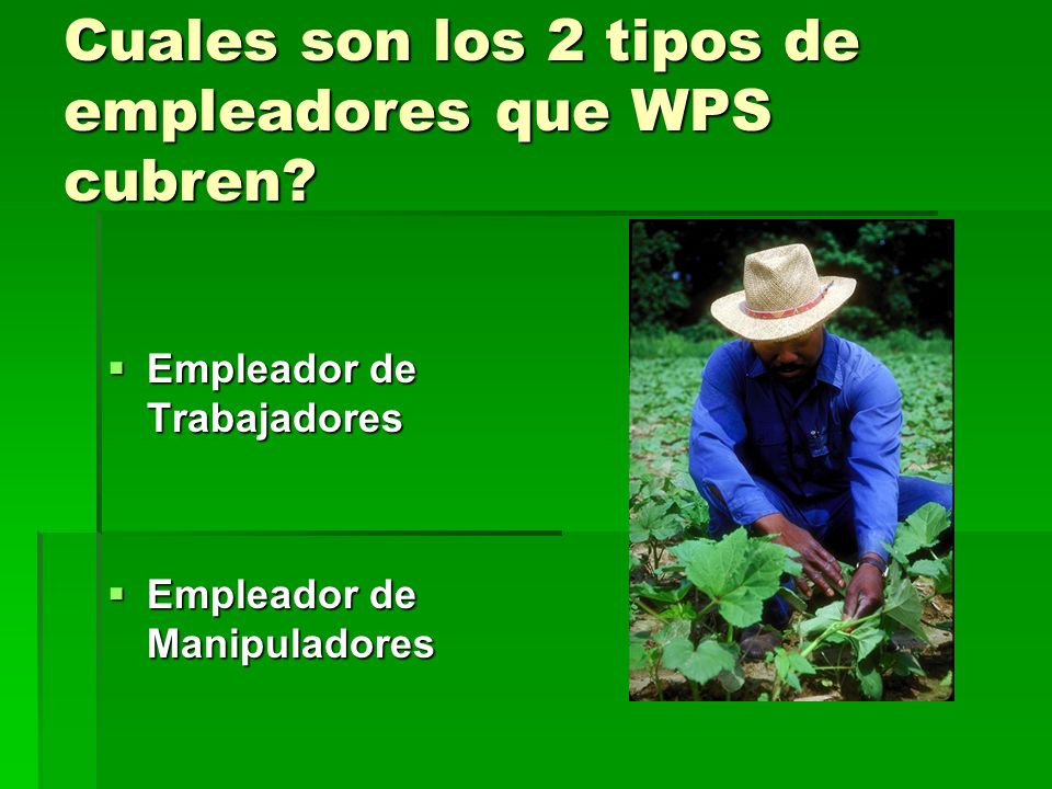 Cuales son los 2 tipos de empleadores que WPS cubren