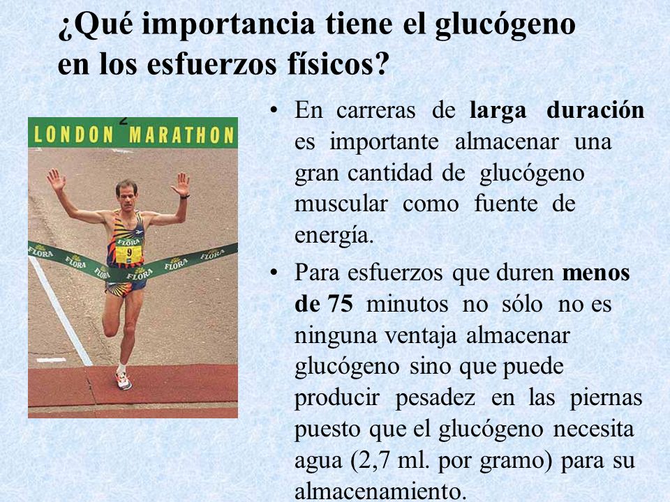 ¿Qué importancia tiene el glucógeno en los esfuerzos físicos
