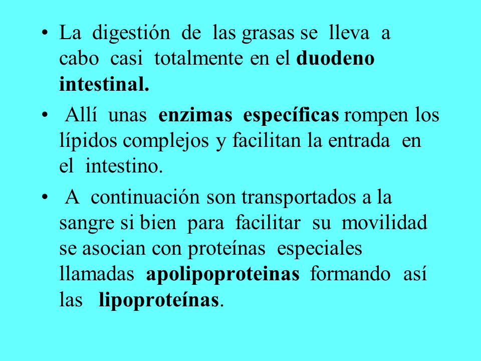 La digestión de las grasas se lleva a cabo casi totalmente en el duodeno intestinal.