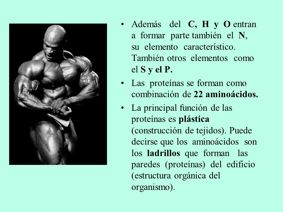 Además del C, H y O entran a formar parte también el N, su elemento característico. También otros elementos como el S y el P.