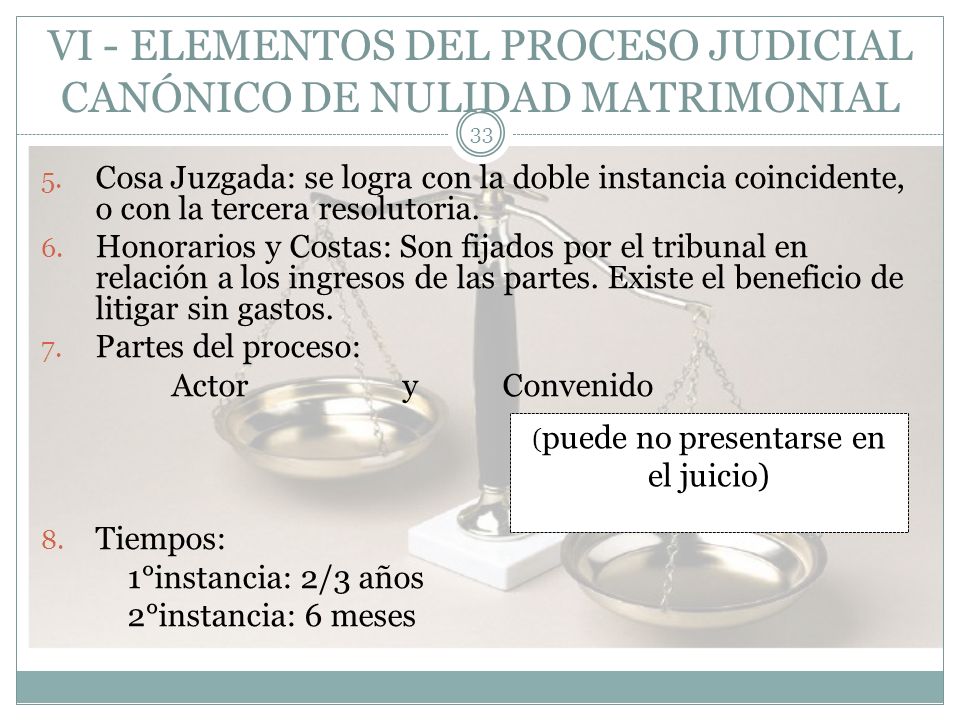 VI - ELEMENTOS DEL PROCESO JUDICIAL CANÓNICO DE NULIDAD MATRIMONIAL
