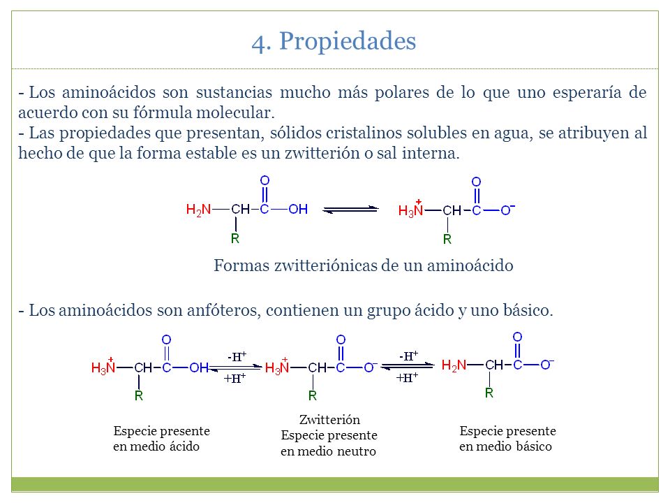 4. Propiedades Los aminoácidos son sustancias mucho más polares de lo que uno esperaría de acuerdo con su fórmula molecular.