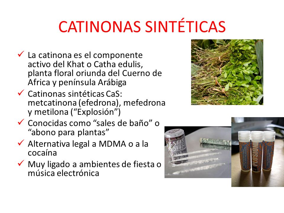CATINONAS SINTÉTICAS La catinona es el componente activo del Khat o Catha edulis, planta floral oriunda del Cuerno de Africa y península Arábiga.
