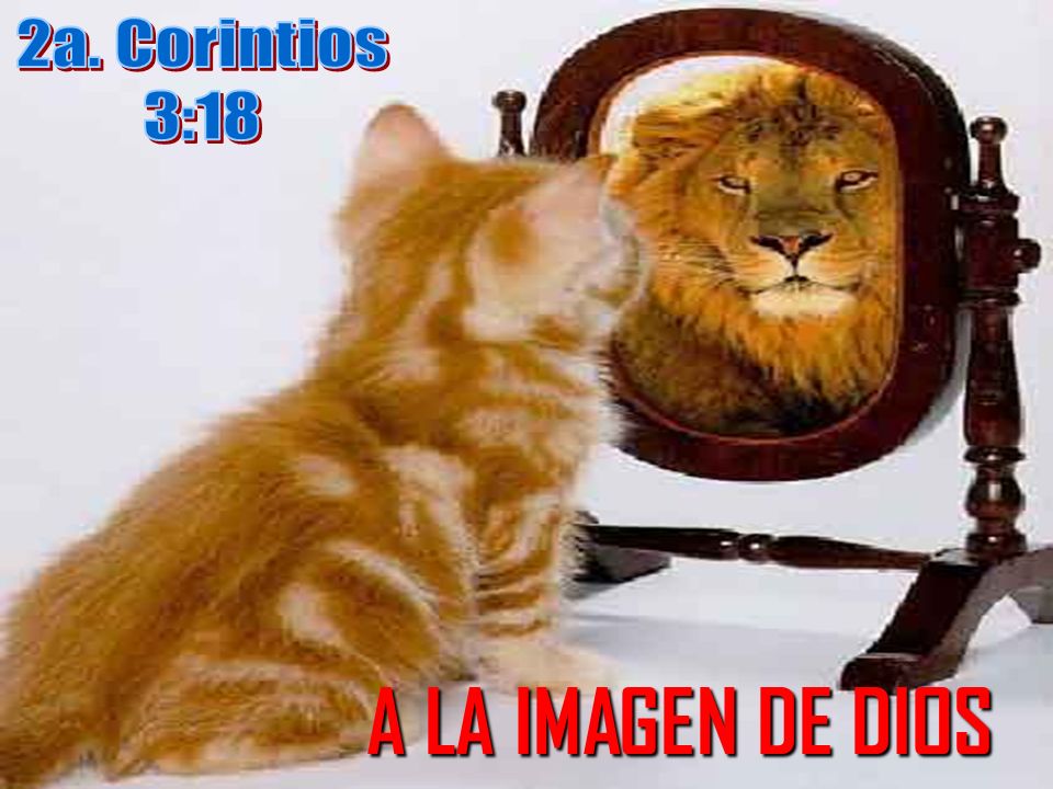 2a. Corintios 3:18 A LA IMAGEN DE DIOS