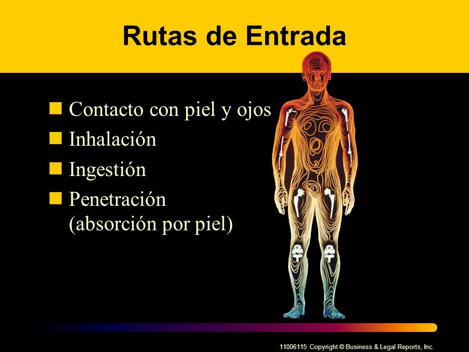 Rutas de Entrada Contacto con piel y ojos Inhalación Ingestión