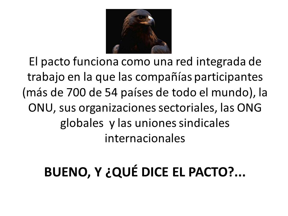 El pacto funciona como una red integrada de trabajo en la que las compañías participantes (más de 700 de 54 países de todo el mundo), la ONU, sus organizaciones sectoriales, las ONG globales y las uniones sindicales internacionales BUENO, Y ¿QUÉ DICE EL PACTO ...