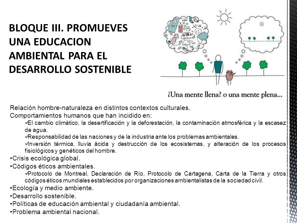 BLOQUE III. PROMUEVES UNA EDUCACION AMBIENTAL PARA EL DESARROLLO SOSTENIBLE