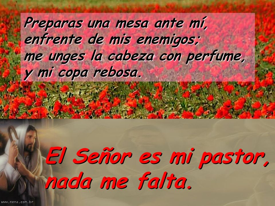 El Señor es mi pastor, nada me falta.