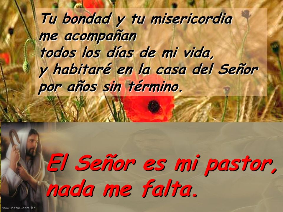 El Señor es mi pastor, nada me falta.
