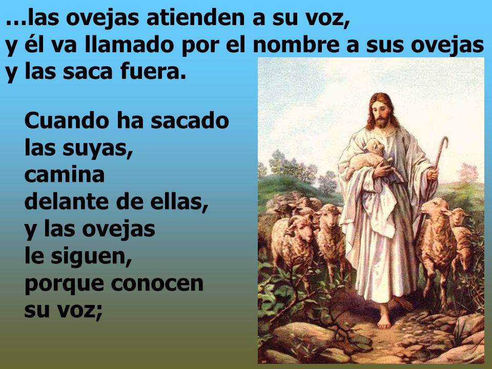 …las ovejas atienden a su voz, y él va llamado por el nombre a sus ovejas y las saca fuera.
