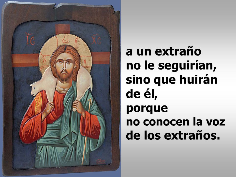 a un extraño no le seguirían, sino que huirán de él, porque no conocen la voz de los extraños.