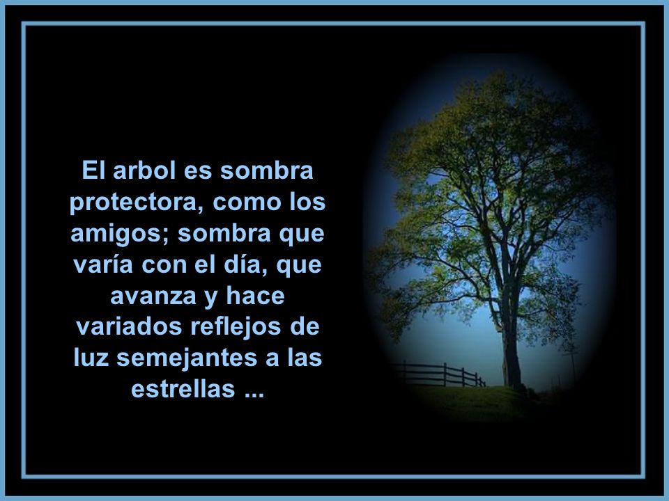 El arbol es sombra protectora, como los amigos; sombra que varía con el día, que avanza y hace variados reflejos de luz semejantes a las estrellas ...