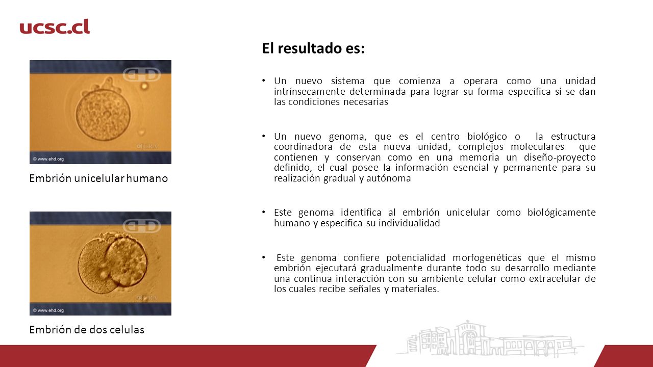 El resultado es: Embrión unicelular humano Embrión de dos celulas