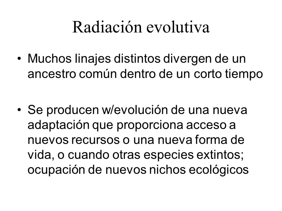 Radiación evolutiva Muchos linajes distintos divergen de un ancestro común dentro de un corto tiempo.