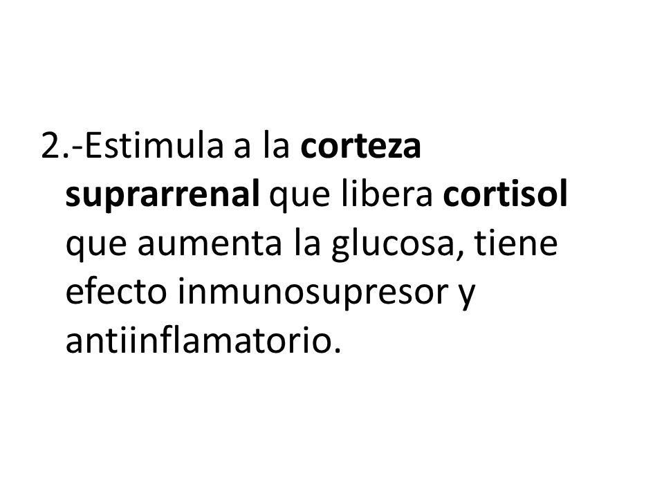 2.-Estimula a la corteza suprarrenal que libera cortisol que aumenta la glucosa, tiene efecto inmunosupresor y antiinflamatorio.