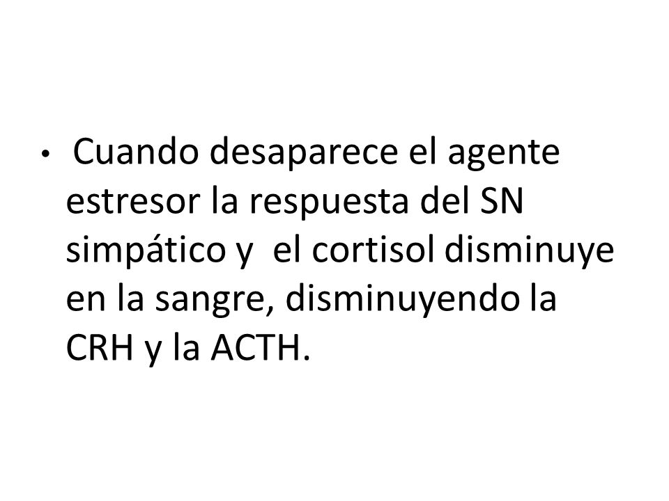 Cuando desaparece el agente estresor la respuesta del SN simpático y el cortisol disminuye en la sangre, disminuyendo la CRH y la ACTH.
