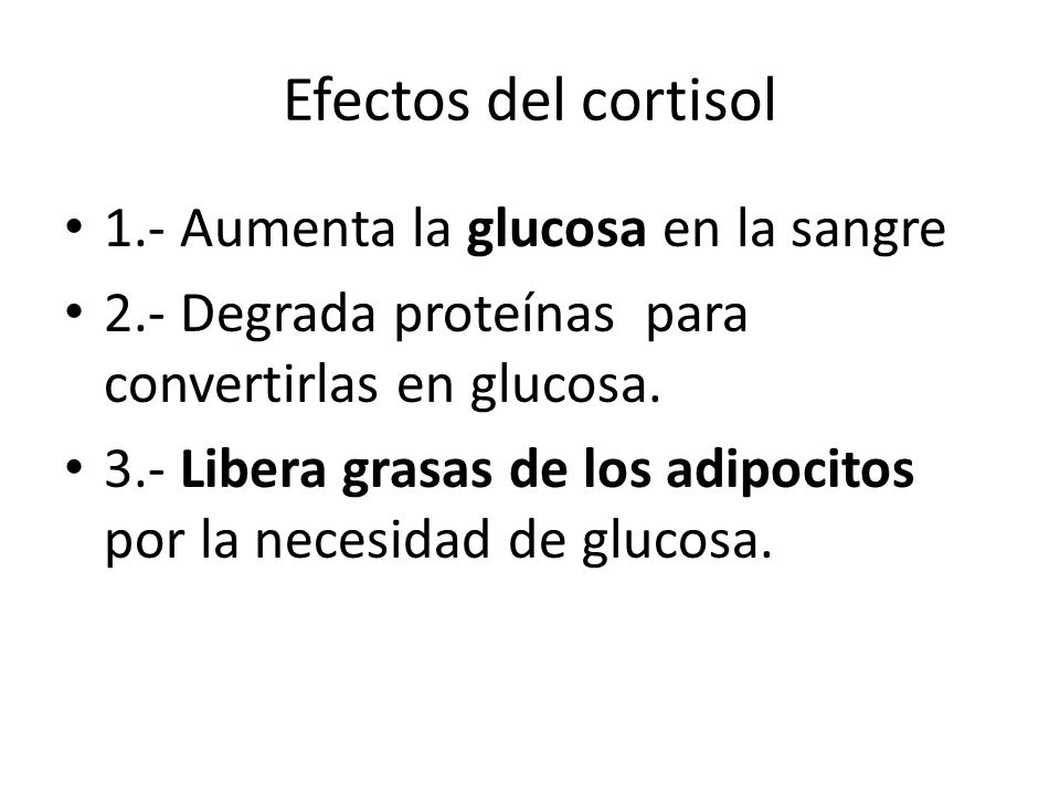 Efectos del cortisol 1.- Aumenta la glucosa en la sangre