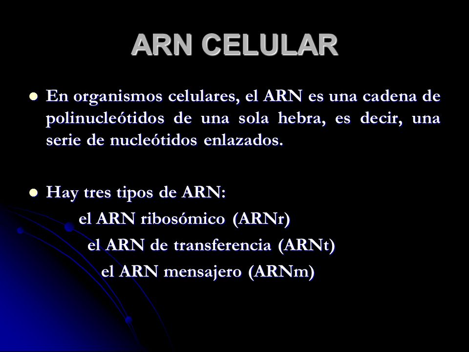 ARN CELULAR En organismos celulares, el ARN es una cadena de polinucleótidos de una sola hebra, es decir, una serie de nucleótidos enlazados.