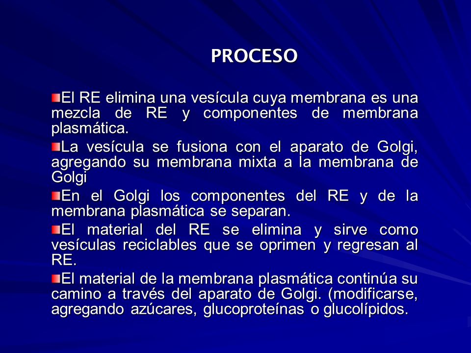 PROCESO El RE elimina una vesícula cuya membrana es una mezcla de RE y componentes de membrana plasmática.