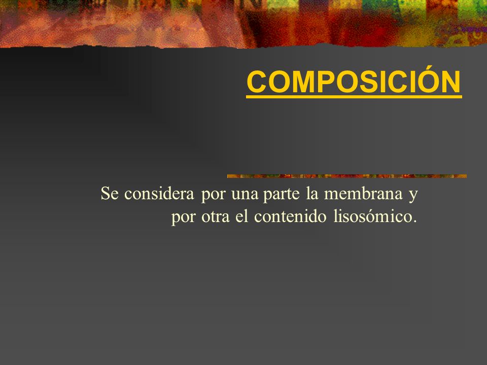 COMPOSICIÓN Se considera por una parte la membrana y por otra el contenido lisosómico.