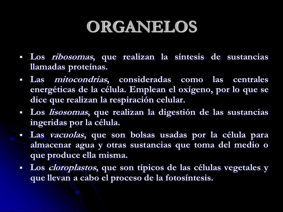 ORGANELOS Los ribosomas, que realizan la síntesis de sustancias llamadas proteínas.