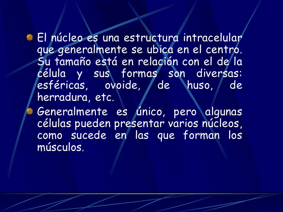 El núcleo es una estructura intracelular que generalmente se ubica en el centro. Su tamaño está en relación con el de la célula y sus formas son diversas: esféricas, ovoide, de huso, de herradura, etc.