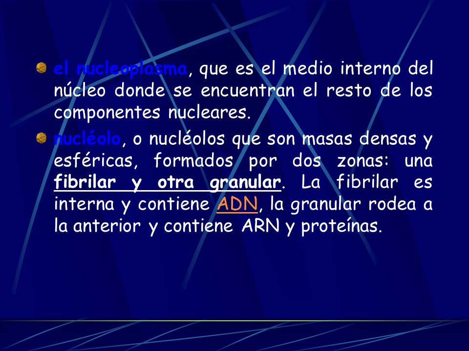 el nucleoplasma, que es el medio interno del núcleo donde se encuentran el resto de los componentes nucleares.