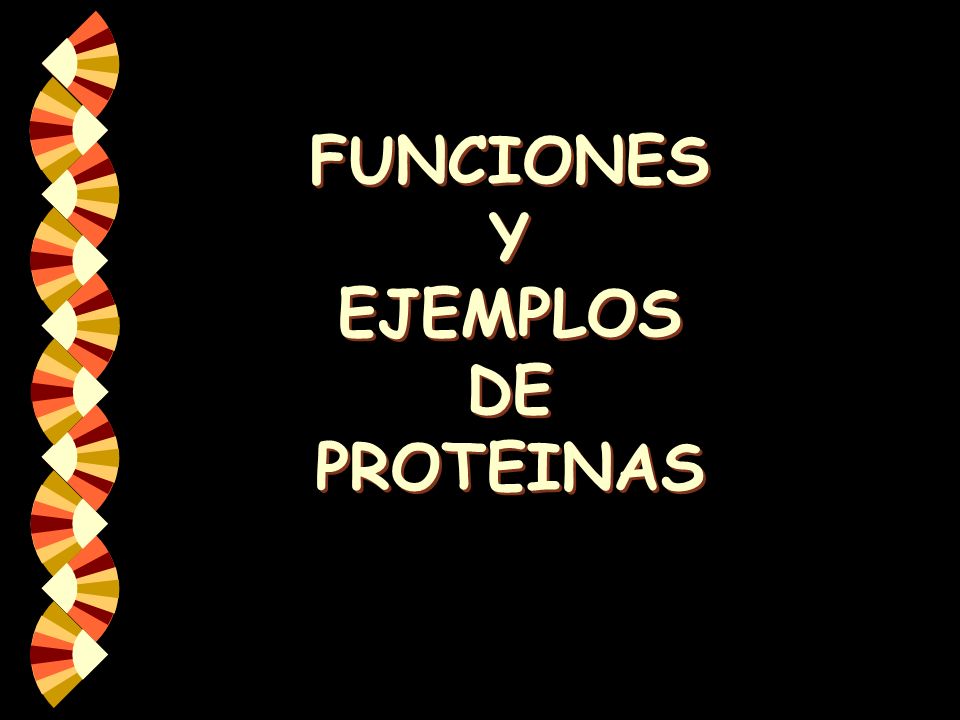 FUNCIONES Y EJEMPLOS DE PROTEINAS
