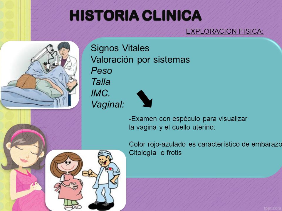 HISTORIA CLINICA Signos Vitales Valoración por sistemas Peso Talla