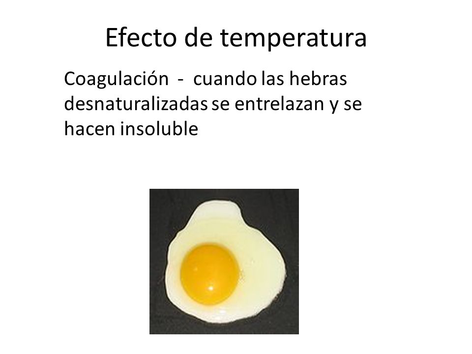 Efecto de temperatura Coagulación - cuando las hebras desnaturalizadas se entrelazan y se hacen insoluble.