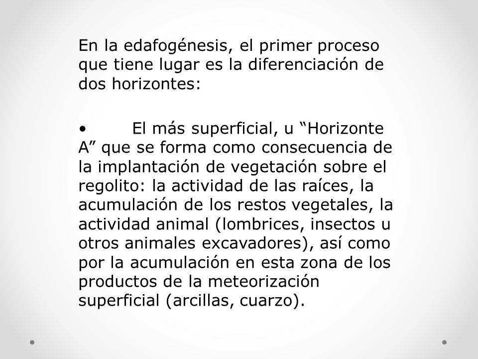 En la edafogénesis, el primer proceso que tiene lugar es la diferenciación de dos horizontes: