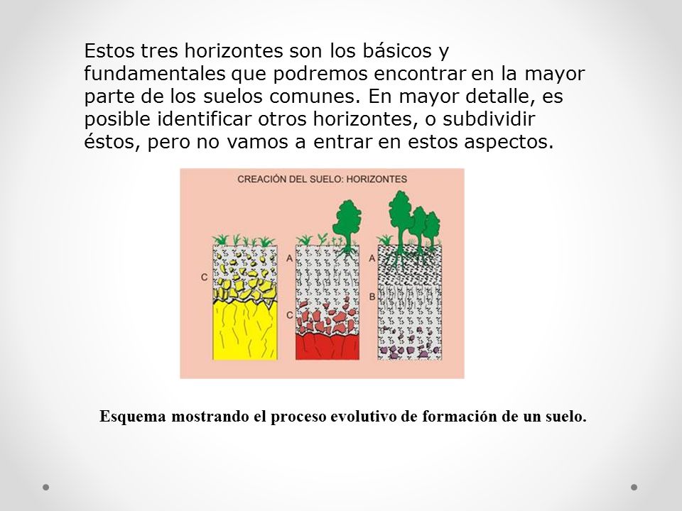 Esquema mostrando el proceso evolutivo de formación de un suelo.