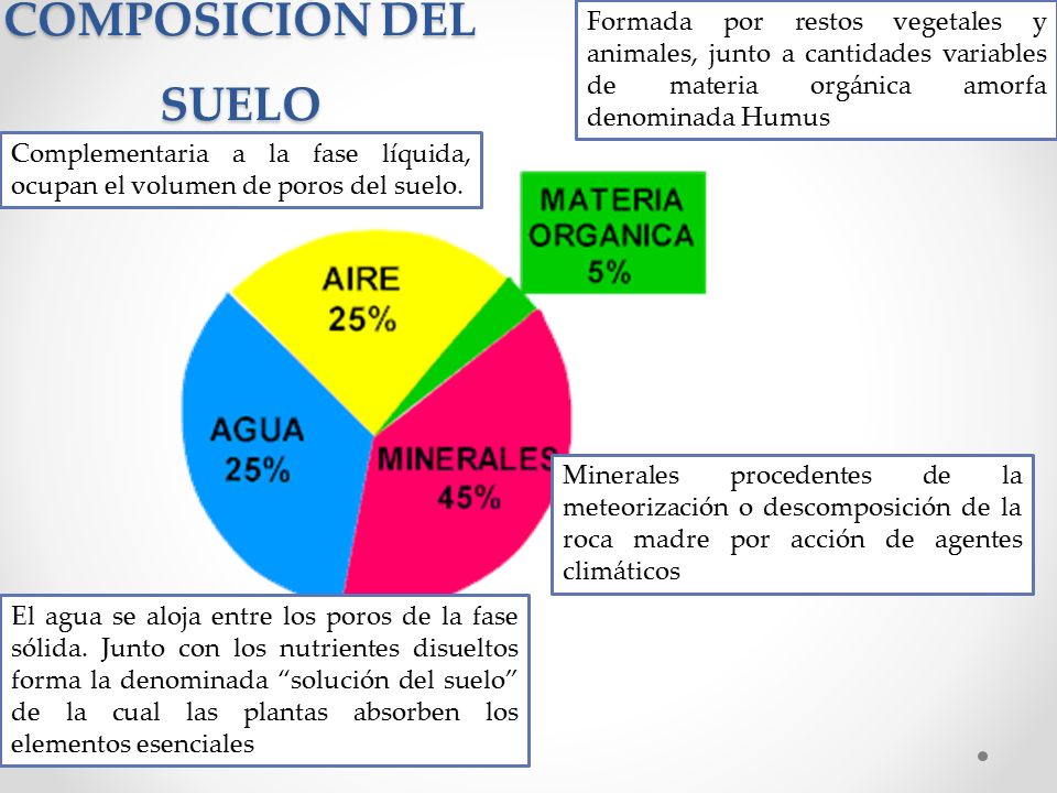 COMPOSICIÓN DEL SUELO Formada por restos vegetales y animales, junto a cantidades variables de materia orgánica amorfa denominada Humus.