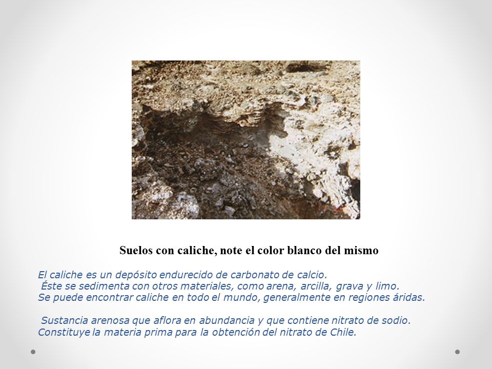 Suelos con caliche, note el color blanco del mismo