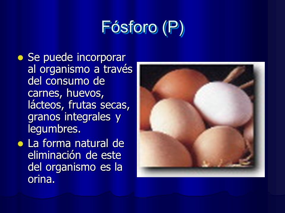 Fósforo (P) Se puede incorporar al organismo a través del consumo de carnes, huevos, lácteos, frutas secas, granos integrales y legumbres.