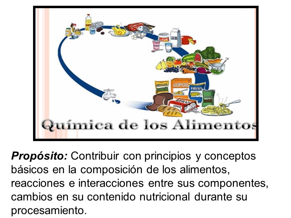 Propósito: Contribuir con principios y conceptos básicos en la composición de los alimentos, reacciones e interacciones entre sus componentes, cambios en su contenido nutricional durante su procesamiento.