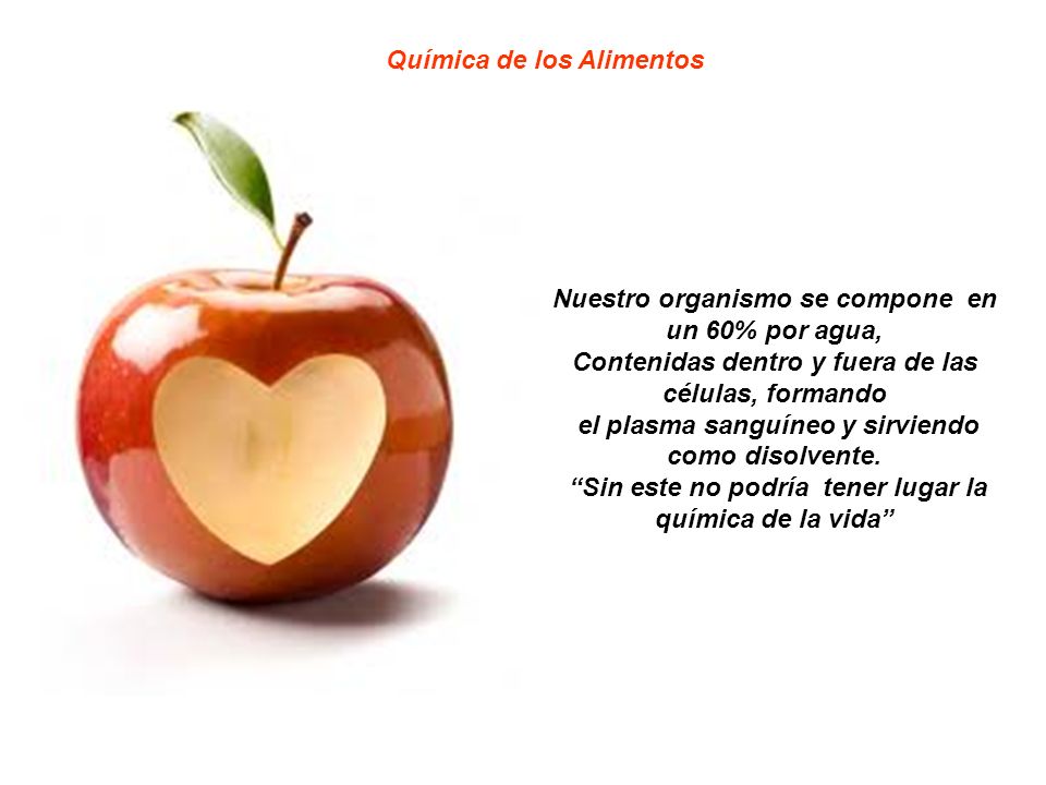 Sin este no podría tener lugar la química de la vida