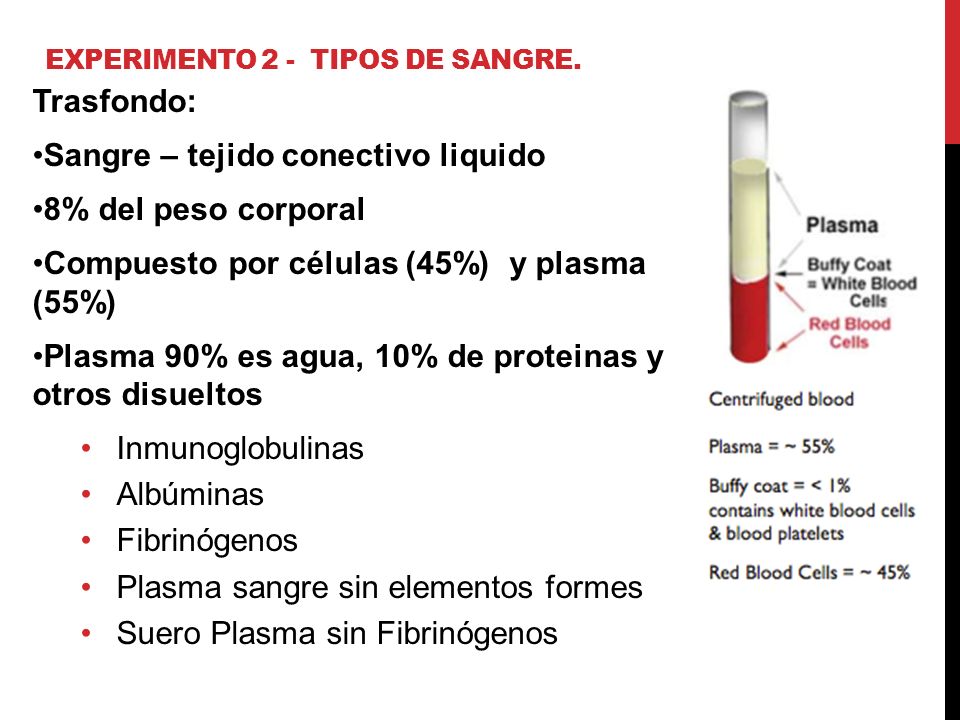 Experimento 2 - Tipos de sangre.